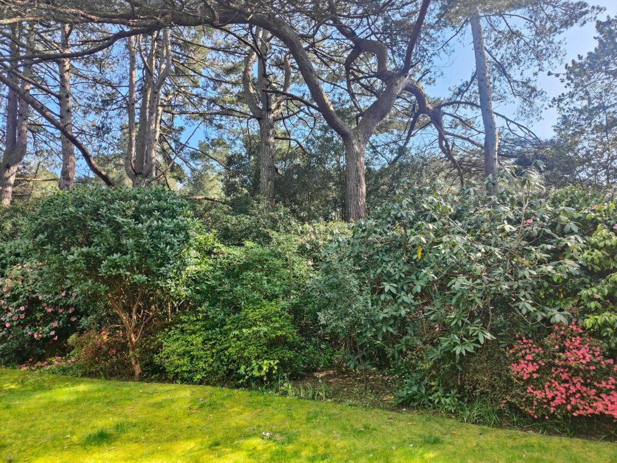 Appartamento Self-contained Flat, Off Street Parking Close To Town And *
